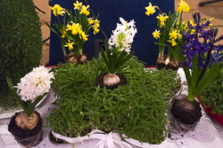 ÖIÄG Nouruz 2015