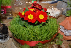 ÖIÄG Nouruz 2016